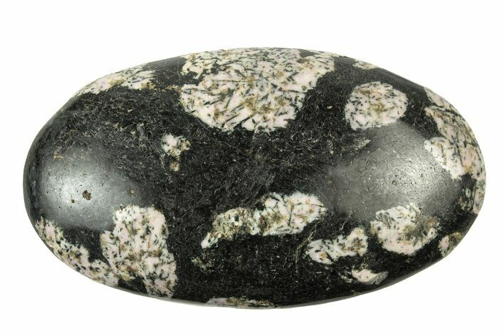 Polished Snowflake Stone - Pakistan #252606